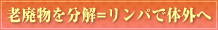 step02 Vp𕪉=pő̊O