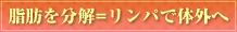 step04 b𕪉=pő̊O