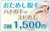 �����߂��E�� �n�i�̉�or���r�̖с@3��1,500�~