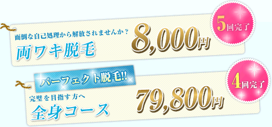 両ワキ脱毛 5回完了 2,500円 | パーフェクト脱毛全身コース 4回完了 79,800円